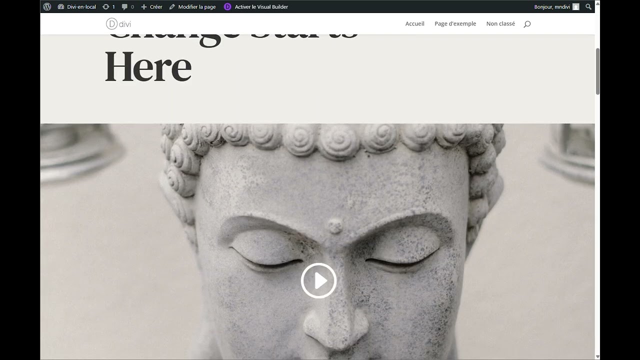 Apprendre Divi en créant un template de page