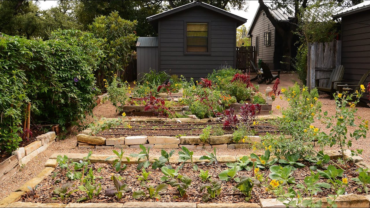 Growing Wellness in a Garden | Meredith Thomas | Central Texas Gardener