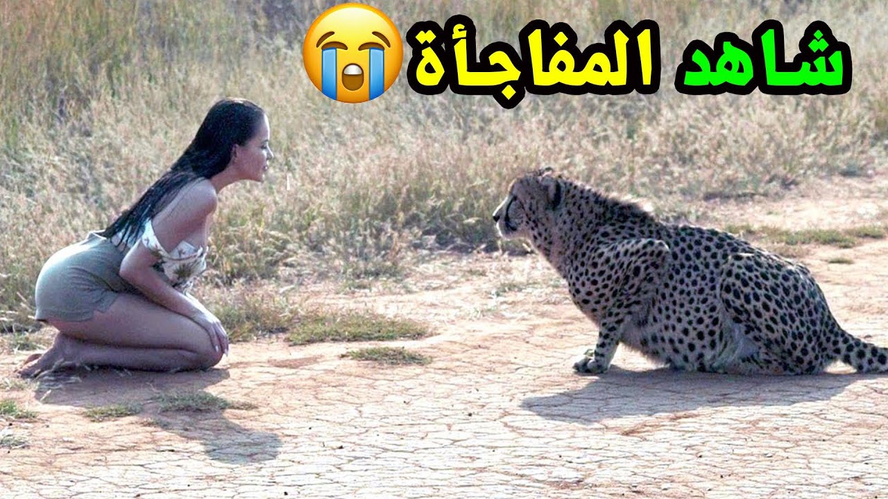 هذه الفتاة حاولت مساعدة الفهد .. ولكن ما حدث لها هز العالم!!!؟