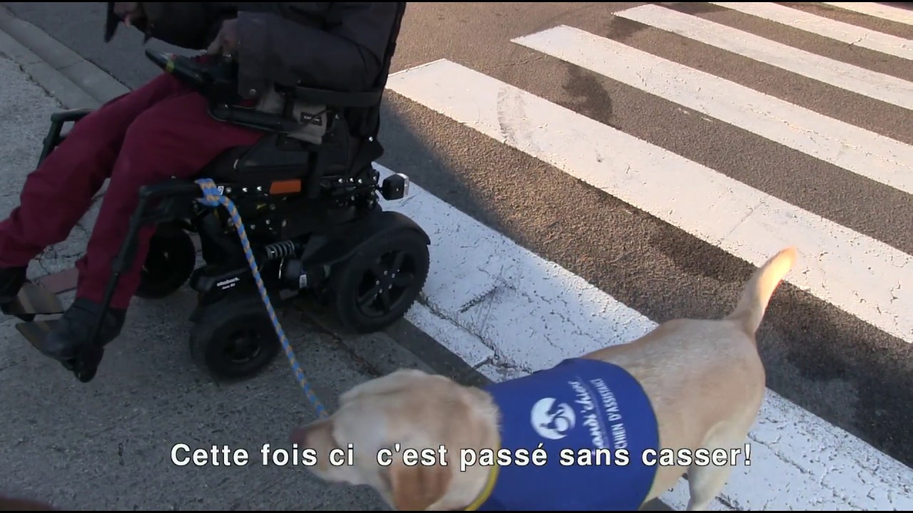Prades en Collectif   Pour une mobilité par et pour tous