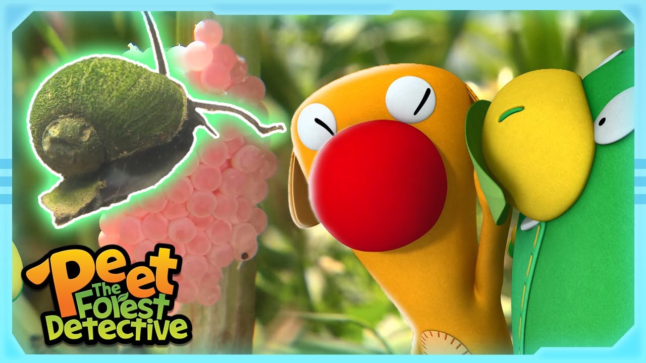 Raspberry VS Apple Snail!| Full Episode | Cartoons for Kids | Peet The Forest Detective