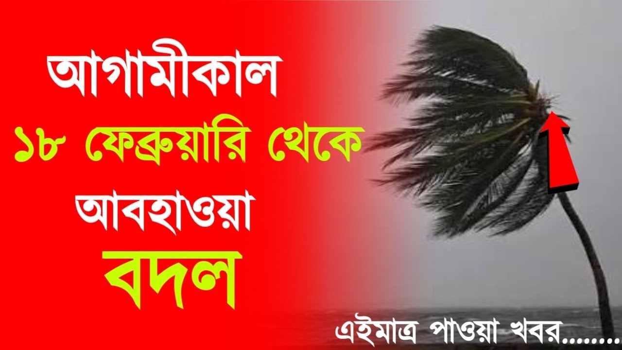 আবহাওয়ার খবর আজকের, 15 February  2026, West Bengal Weather Report Today