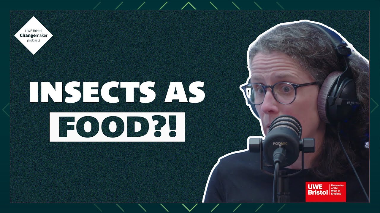 'We're eating insects all the time!' - The Future of Food | The Changemaker Podcast EP1