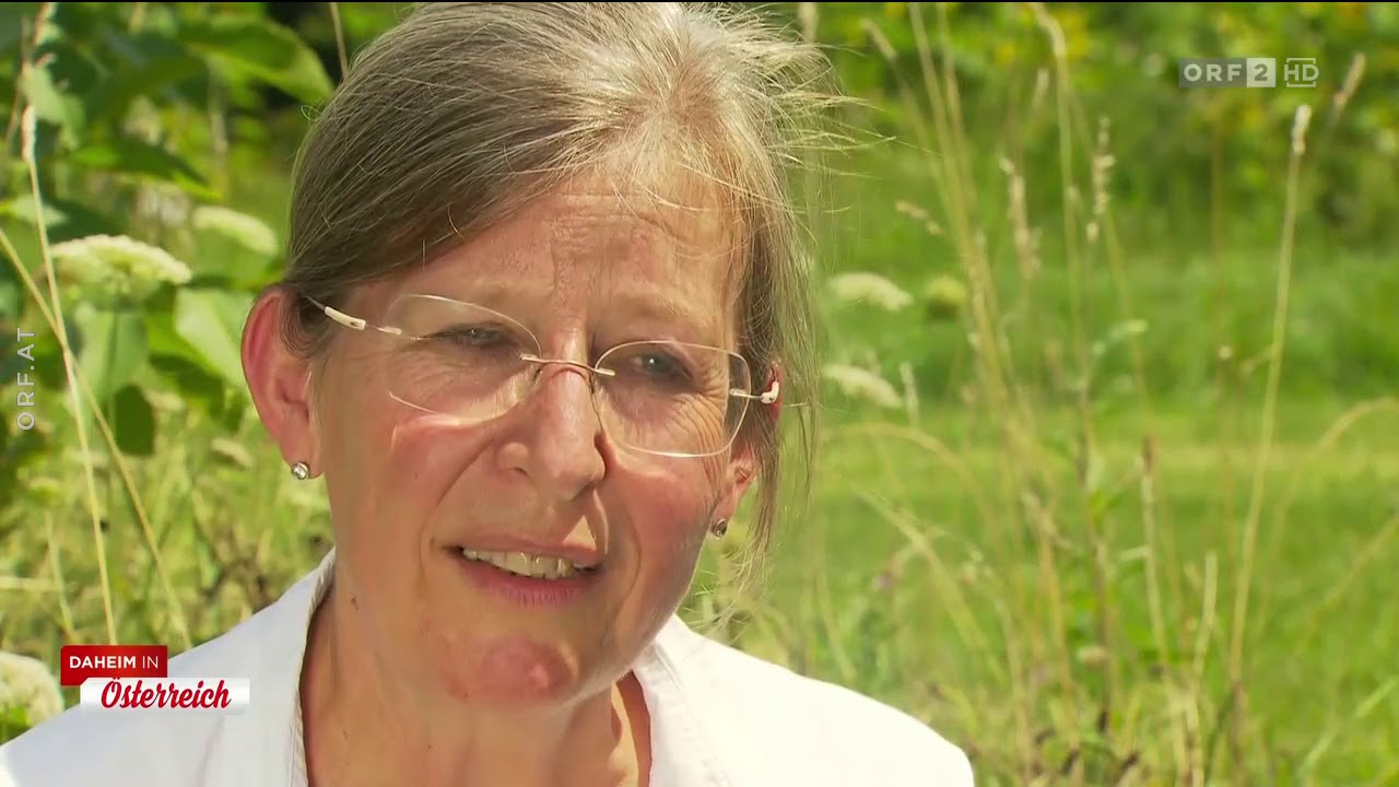 Drei Jahre Wildniskulturhof