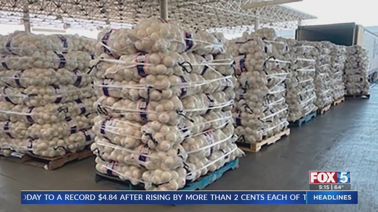 Meth Worth $2.9M Disguised As Onions Seized At Border