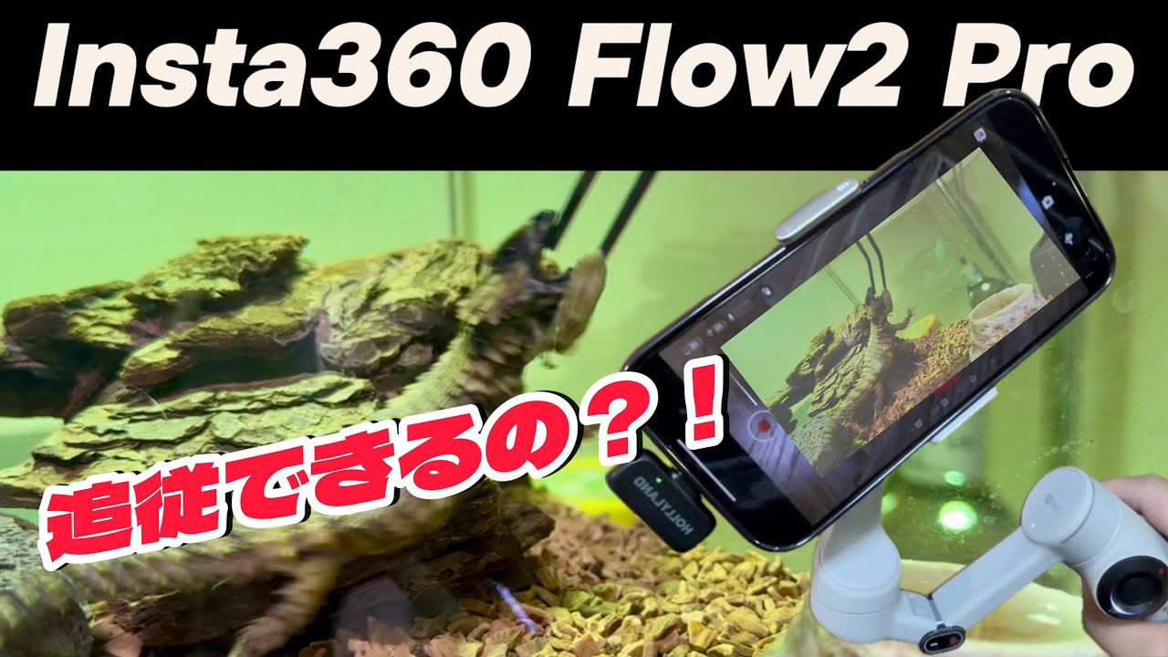 【検証】Insta360 Flow2 Proは爬虫類の動きについていけるの？！