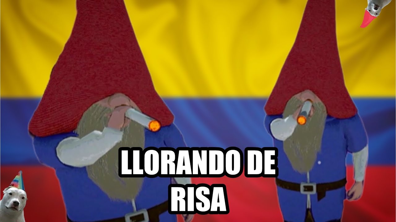 LLORANDO DE RISA CON LOS GNOMOS