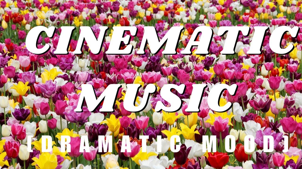 Dramatic Series Theme - Freedom Trail Studio | Cinematic & Dramatic Background Music [No Copyright]