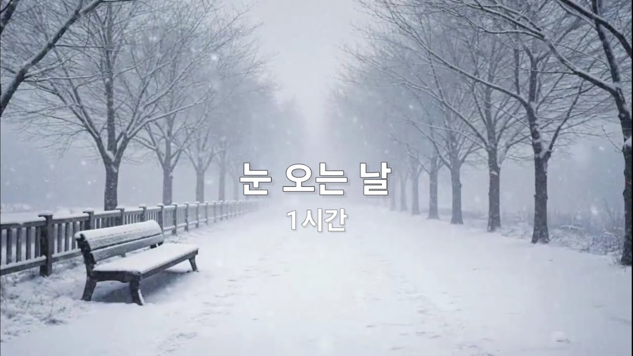눈 오는 날 듣기 좋은 음악 ❄️ | 조용히 눈이 내릴 때, 1시간 힐링 피아노