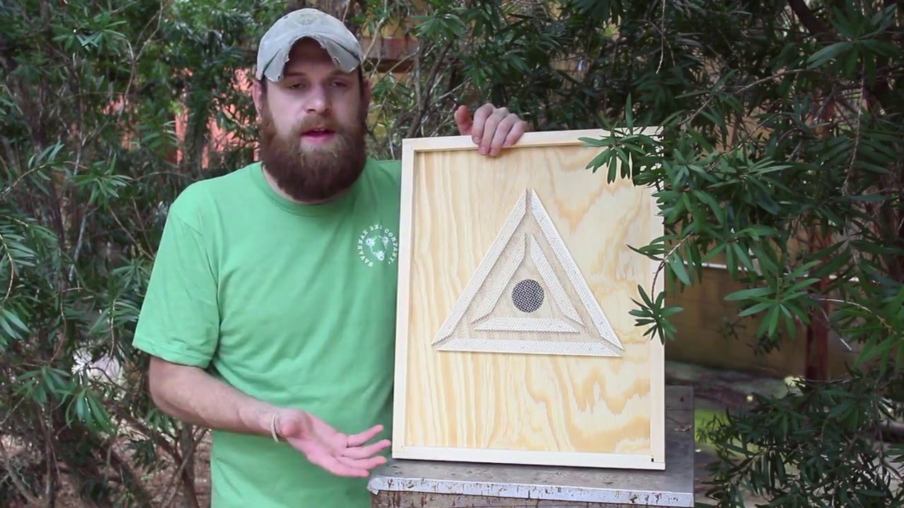 Beekeeping 101: Using Bee Escapes