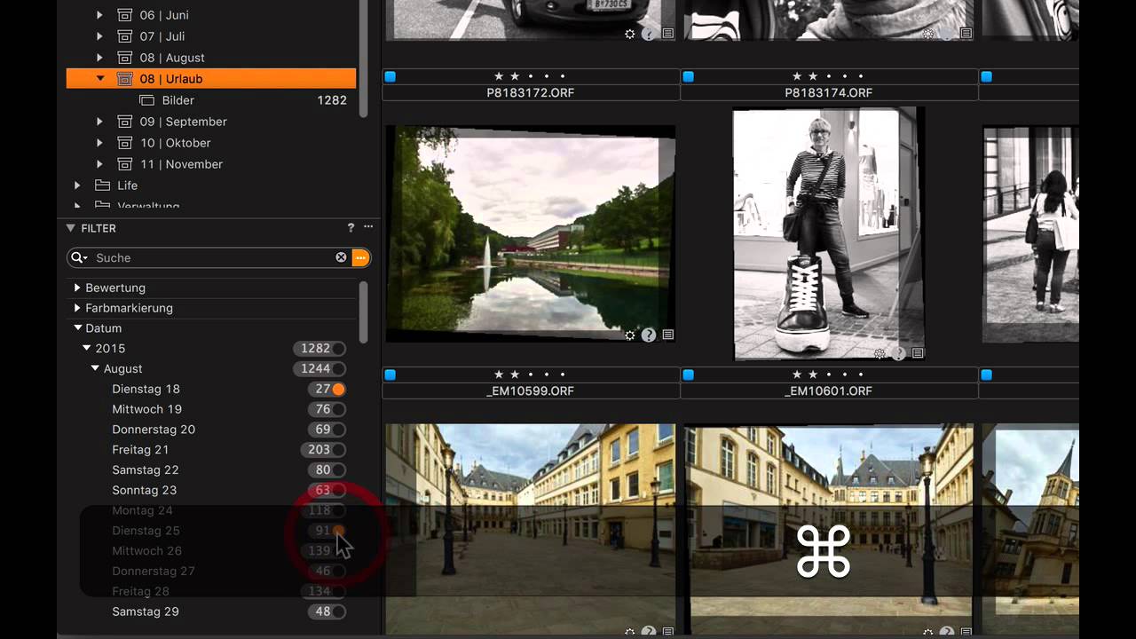 Capture One Pro: Katalog, Bildimport und Bildverwaltung