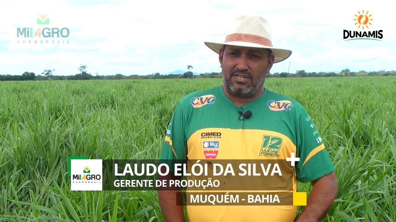Milagro Agro Brasil - Dunamis em Muquém/BA