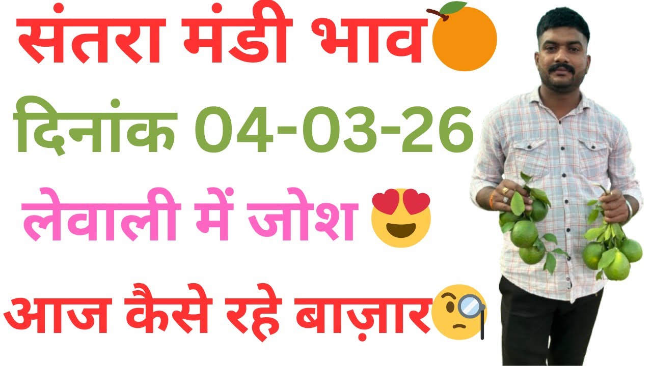 संतरा के शानदार भाव😍🔥लेवाली में जोश!!आवक में कमी!!भवानीमडी दिनांक  04-03-26 Bhawanimandi Bhav 