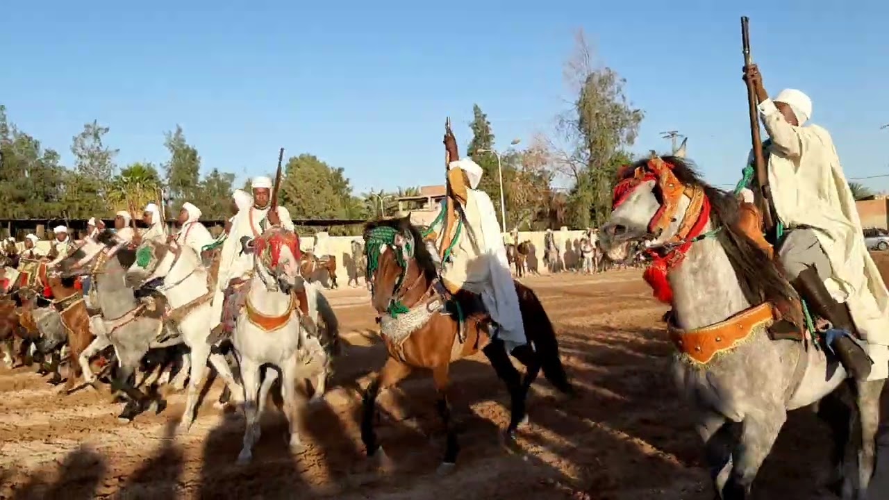 Brahim mahbobعلفة الحاج بلخير بن دادي بي قيادة الشيخ احمد🐴🐴🐴🐴🐴🐴🐴