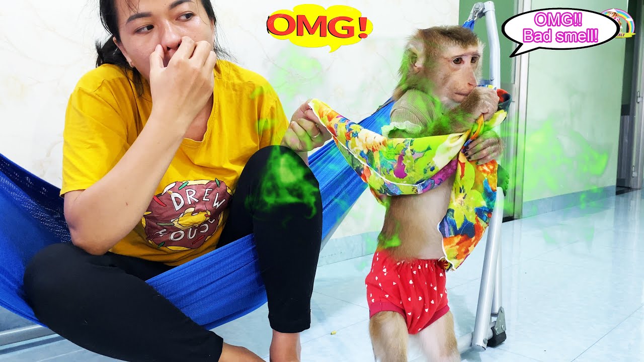 Monkey Lyly is embarrassed by her body odor after many days without bathing.