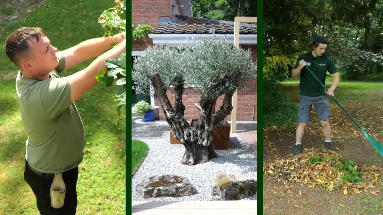Best landscape gardeners in kent! Cowen Landscapes 🌳