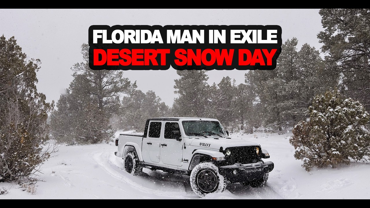 Desert Snow Day