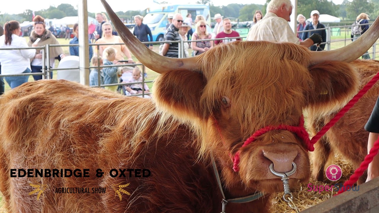 Edenbridge & Oxted Show 2021 - Kent UK Agricultural Show - Farming Event Festival - South England