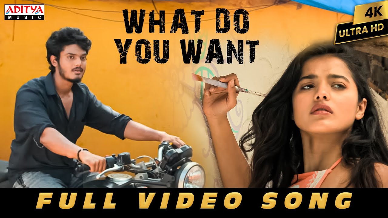 What Do You Want Full Video Song | Romantic | Akash Puri, Ketika Sharma | Puri | Sunil Kashyap