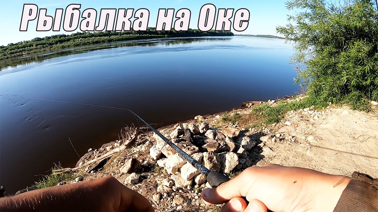Я ДАВНО ЖДАЛ эту Рыбалку на Оке! Ловля спиннинг Жерех, Судак летом