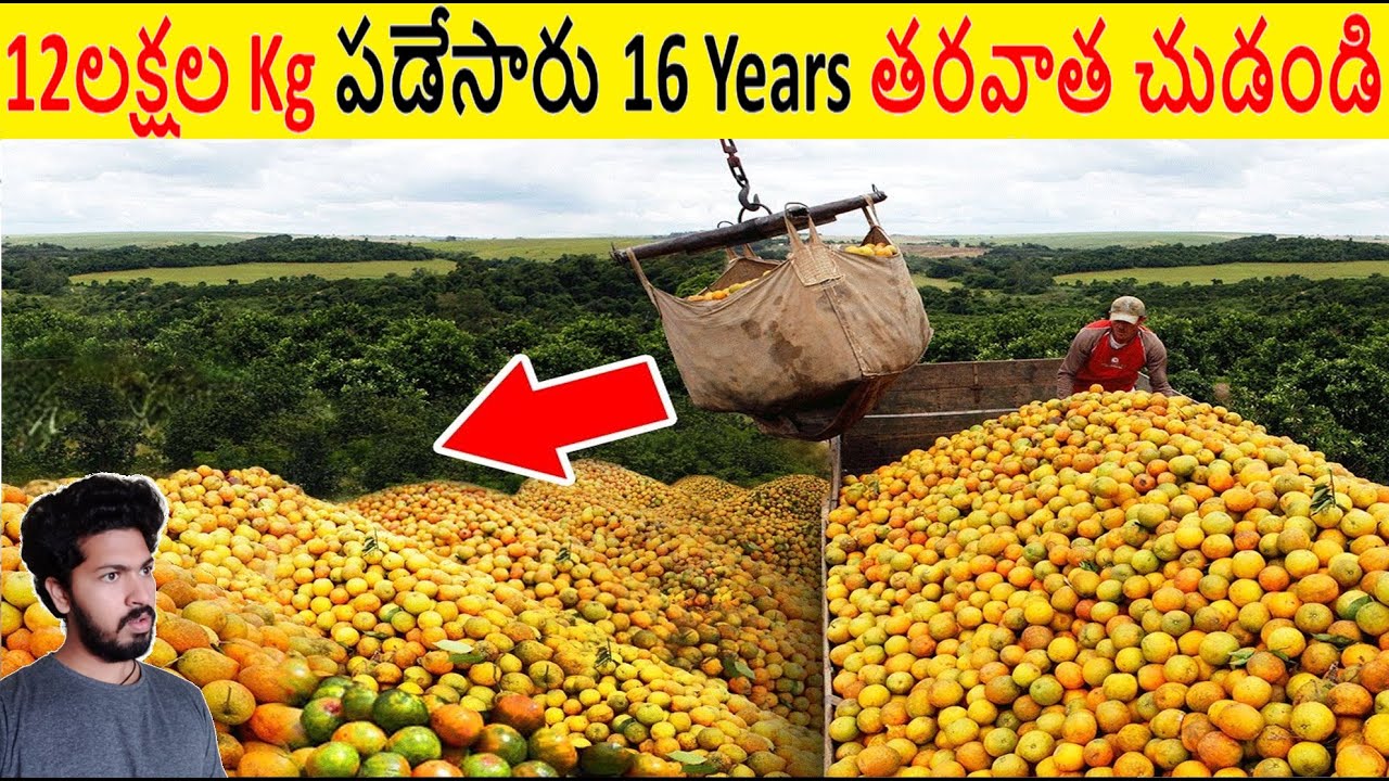 12Kgలు పడేసారు 16 Years తరవాత చూడండి || Most Amazing Facts Ever Listen Part 99 || ALK Facts
