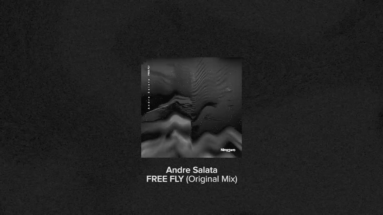 Andre Salata &ndash; Free Fly (Original Mix) [Nin92wo Records]