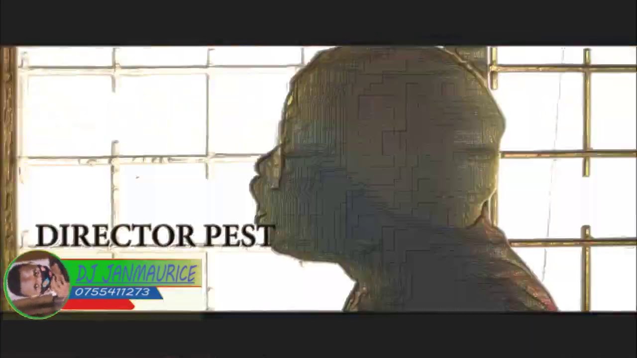 Megga mix mixed by DJ Janmaurice 2020