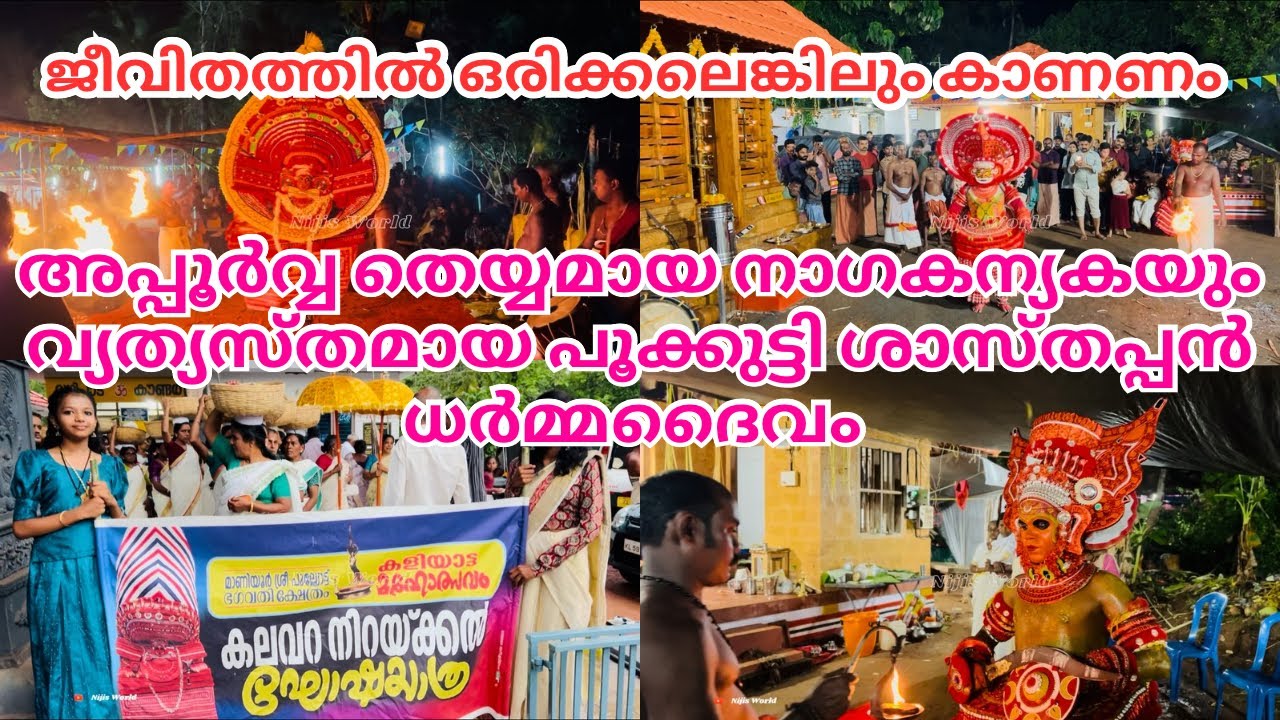 അപൂർവ്വമായ നാഗകന്യകയും വ്യത്യസ്തമായ പൂക്കുട്ടി ശാസ്തപ്പനും കണ്ടിട്ടുണ്ടോ |NAGAKANYAKA THEYYAM|