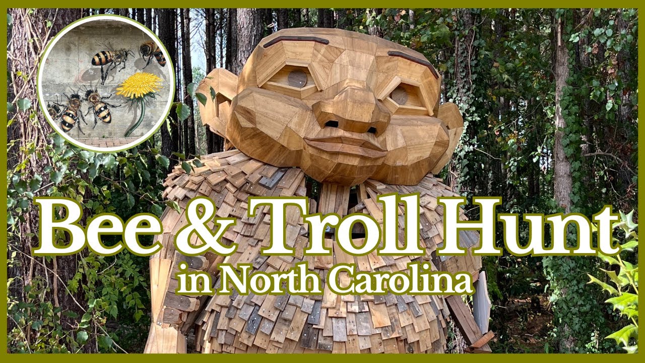 Bee & Troll Art Hunt in North Carolina | Thomas Dambo Trolls 🧌| Matthew Willey Bee 🐝 Murals