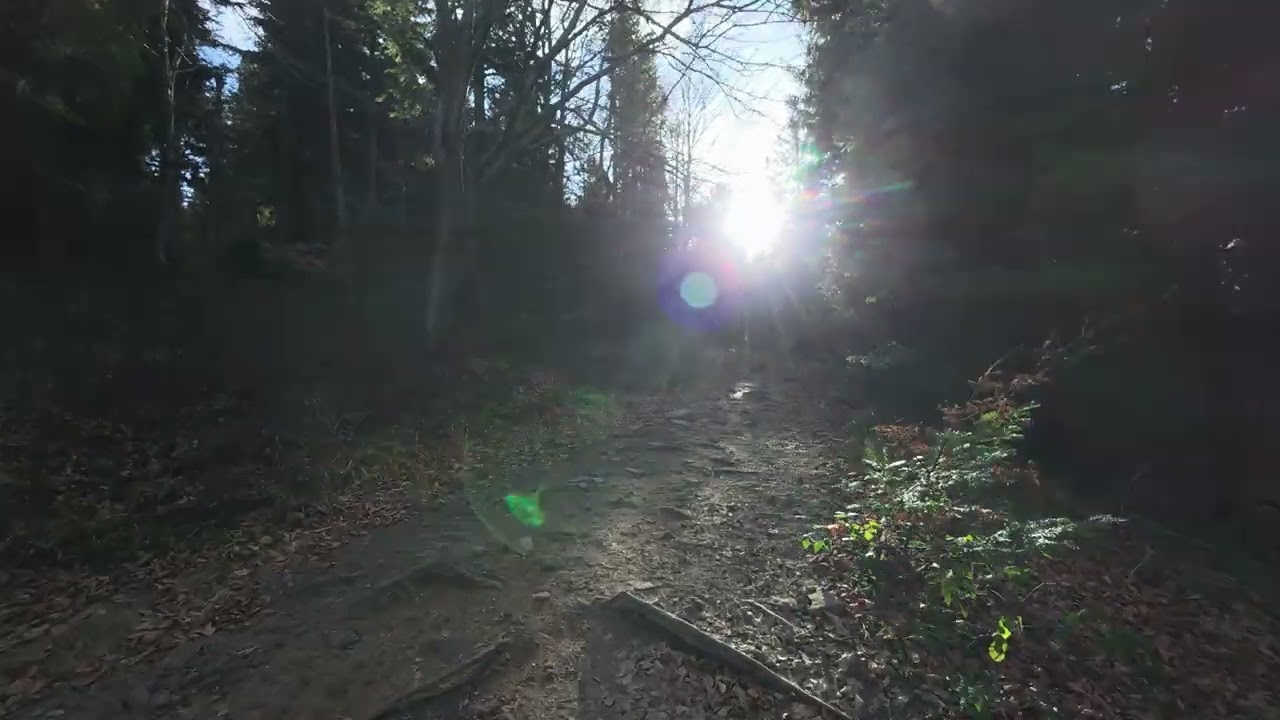 Mountain Walk 2 