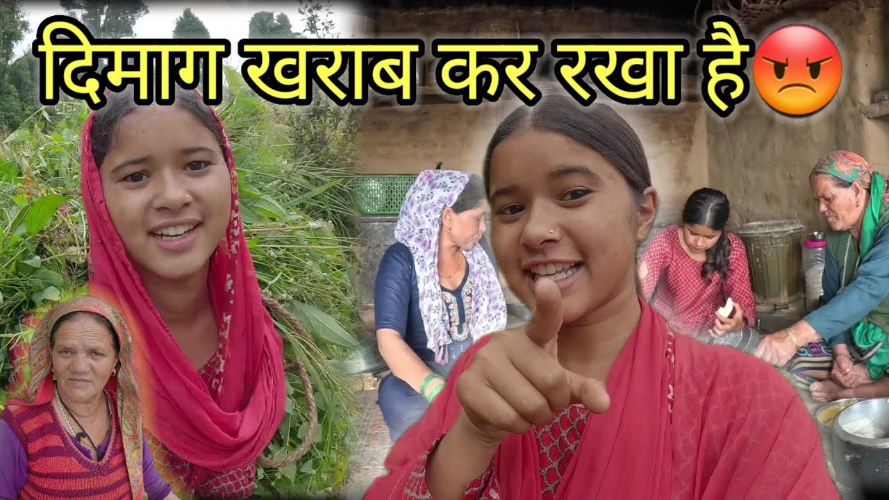 आज तो मैंने सुना ही दिया सबको😡|| सबके खेतों में जा रहे हैं ये  दोनो 🥲|| Priya Negi || Pahadi 