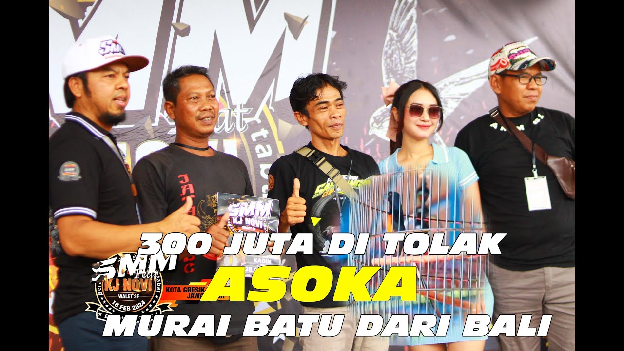 300 JUTA DI TOLAK|||ASOKA MURAI BATU DARI BALI SABET JUARA 1.