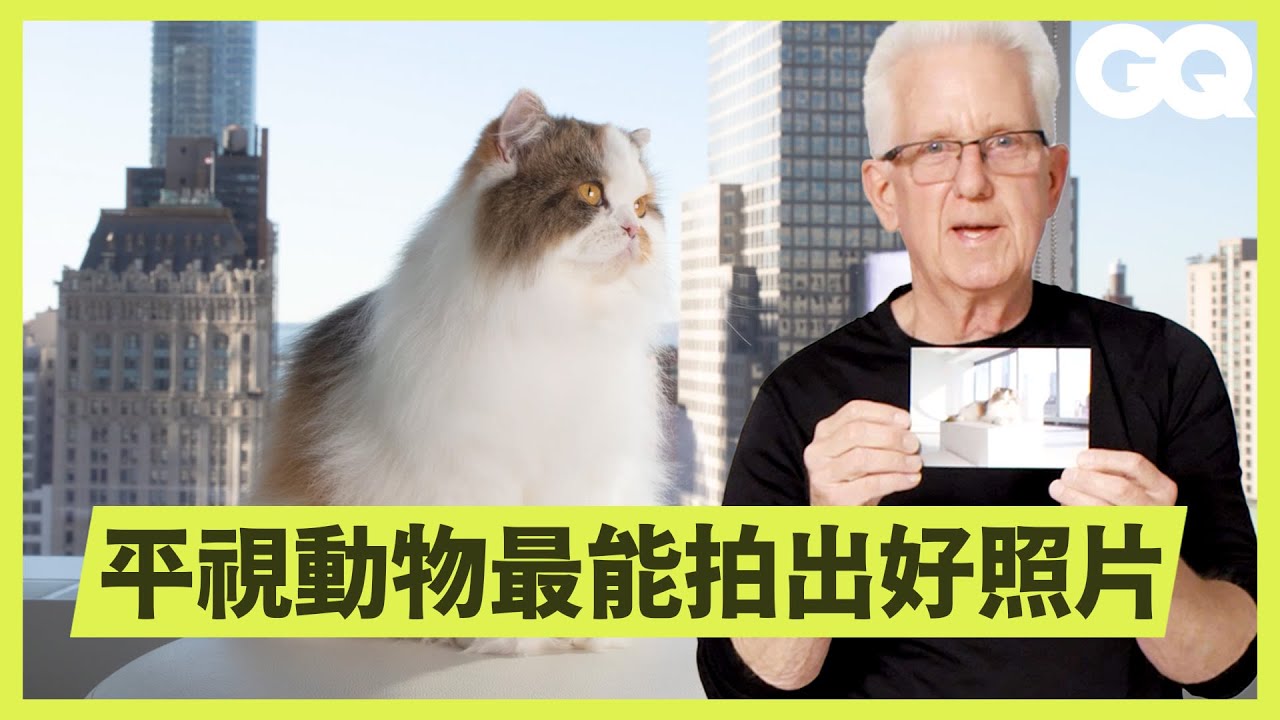 挑寵物照比挑自拍還難！國家地理頻道攝影師拍貓咪，如何從112張照片裡挑出最好的1張？｜科普長知識｜GQ Taiwan
