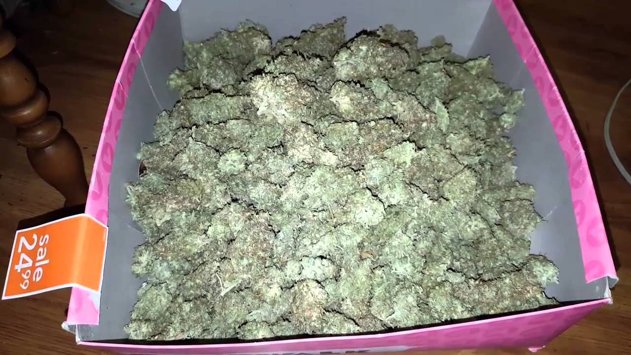 dry cure weight of ghetto grow auto Ultimate by dutch passion