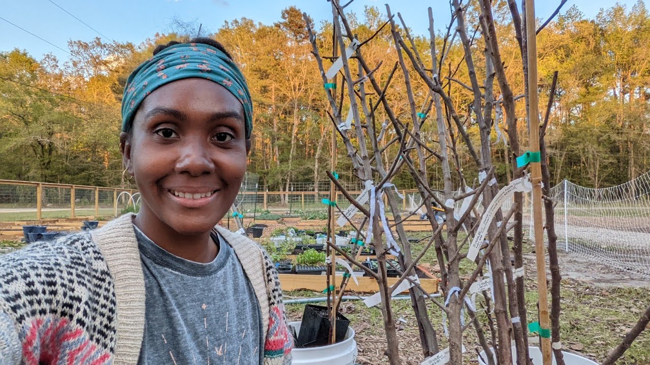 Planting for the Future | Unboxing My Fruit Trees From Stark Bros / Vlog