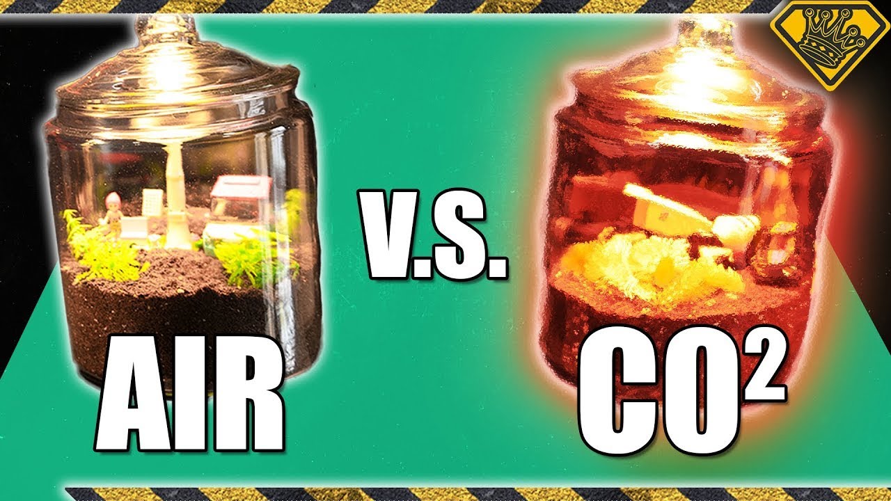 Watch What Happens When There's Too Much CO2