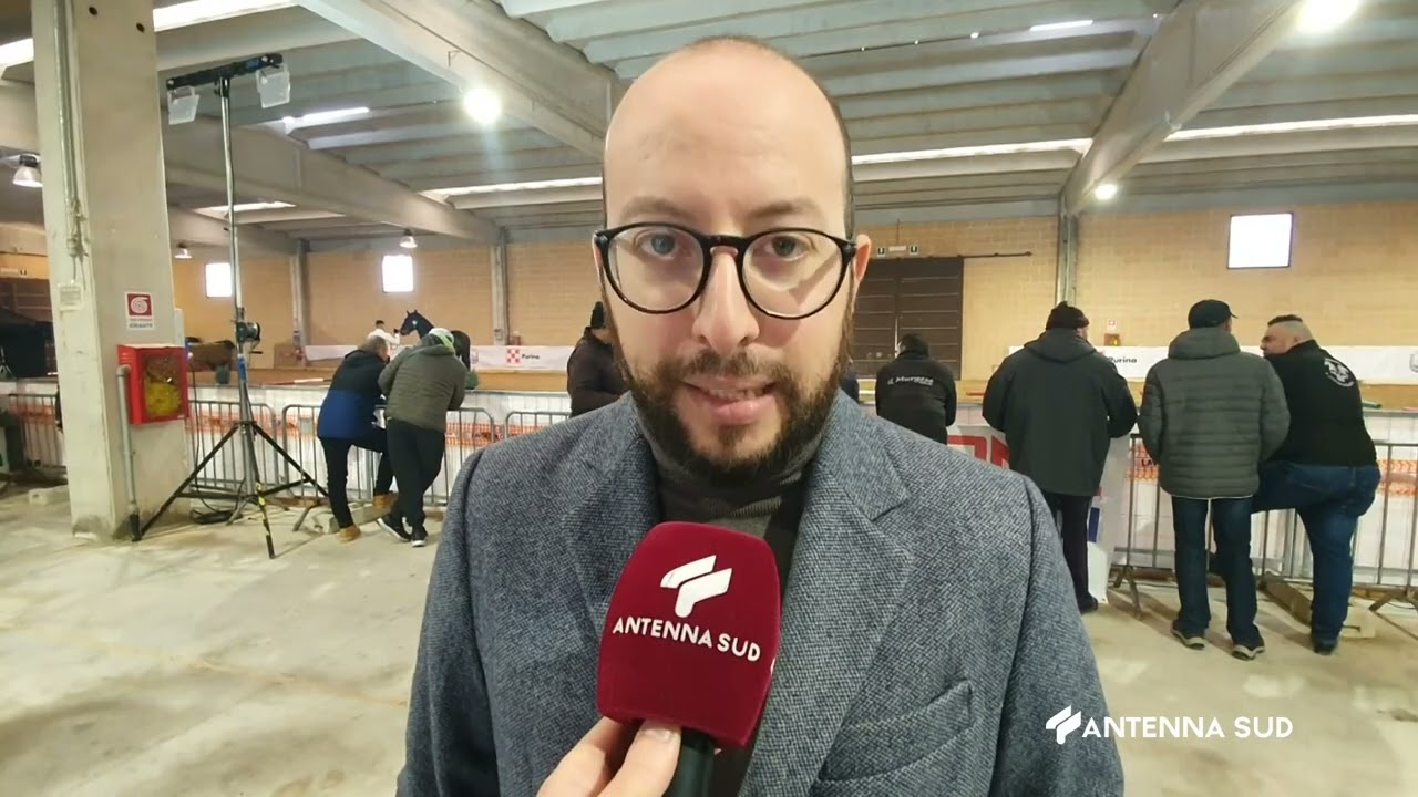13 DICEMBRE 2023   MARTINA FRANCA, INAUGURATO IL 68° MERCATO CONCORSO DEL CAVALLO MURGESE