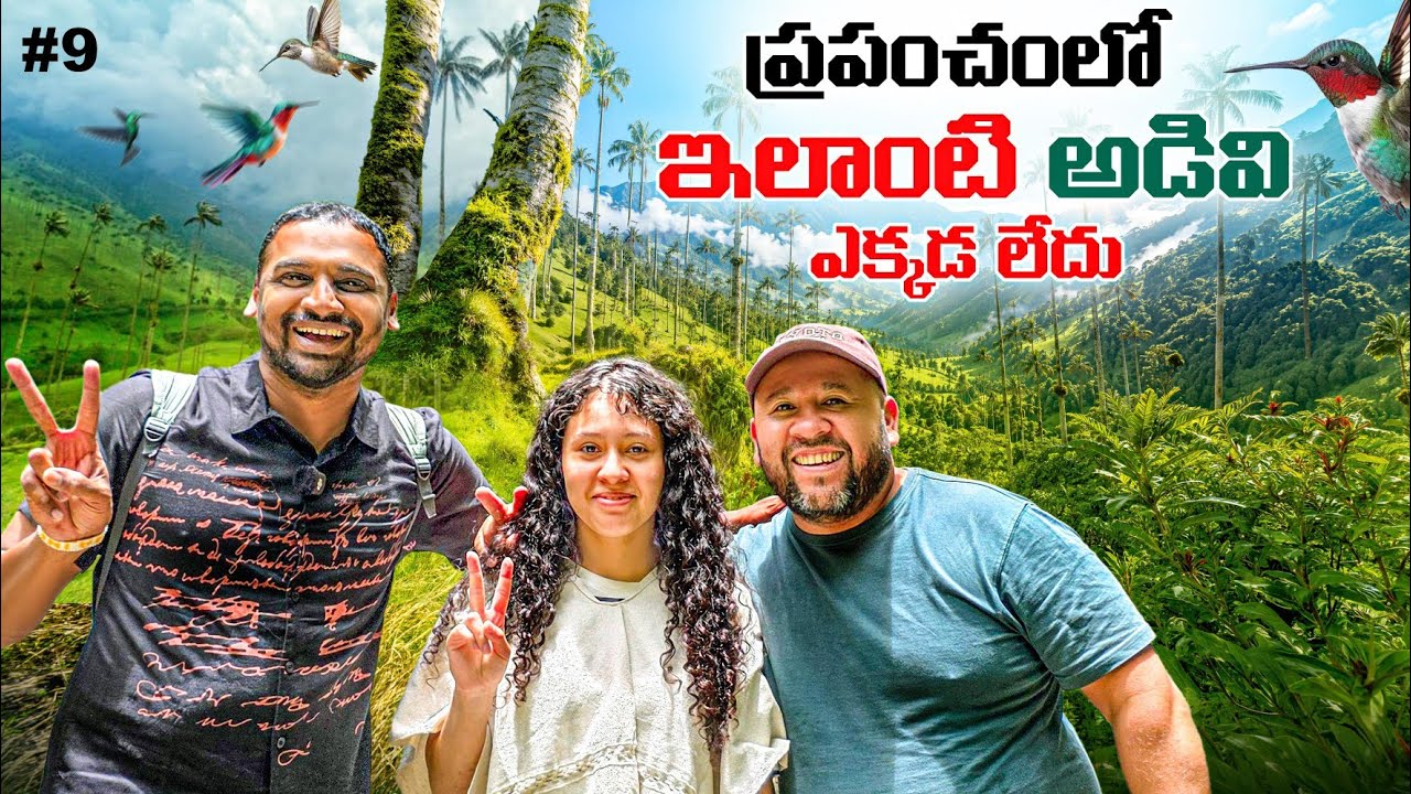 Прекрасная долина Кокора, Колумбия 🇨🇴 | Перейра | Восковые пальмы 🌴 | Uma Telugu Traveller