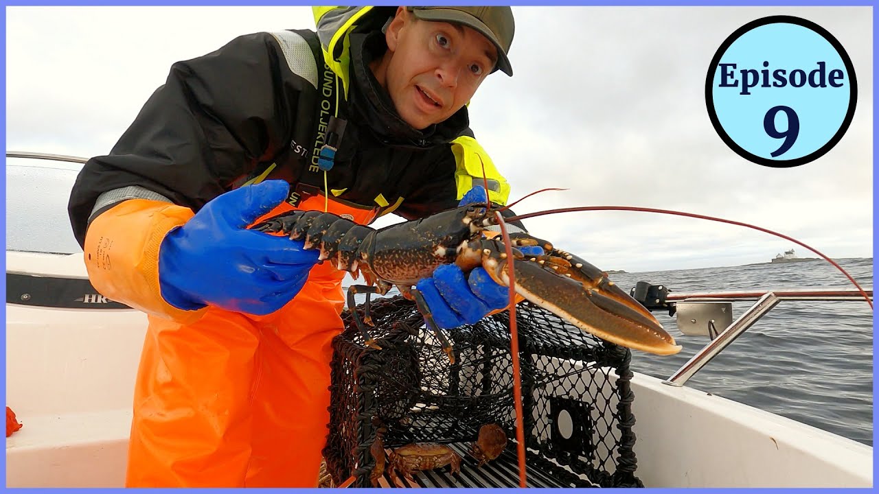 Thieves hauled my lobsterpots
