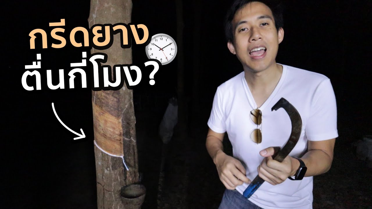 กรีดยางตื่นกี่โมง!? x Isuzu