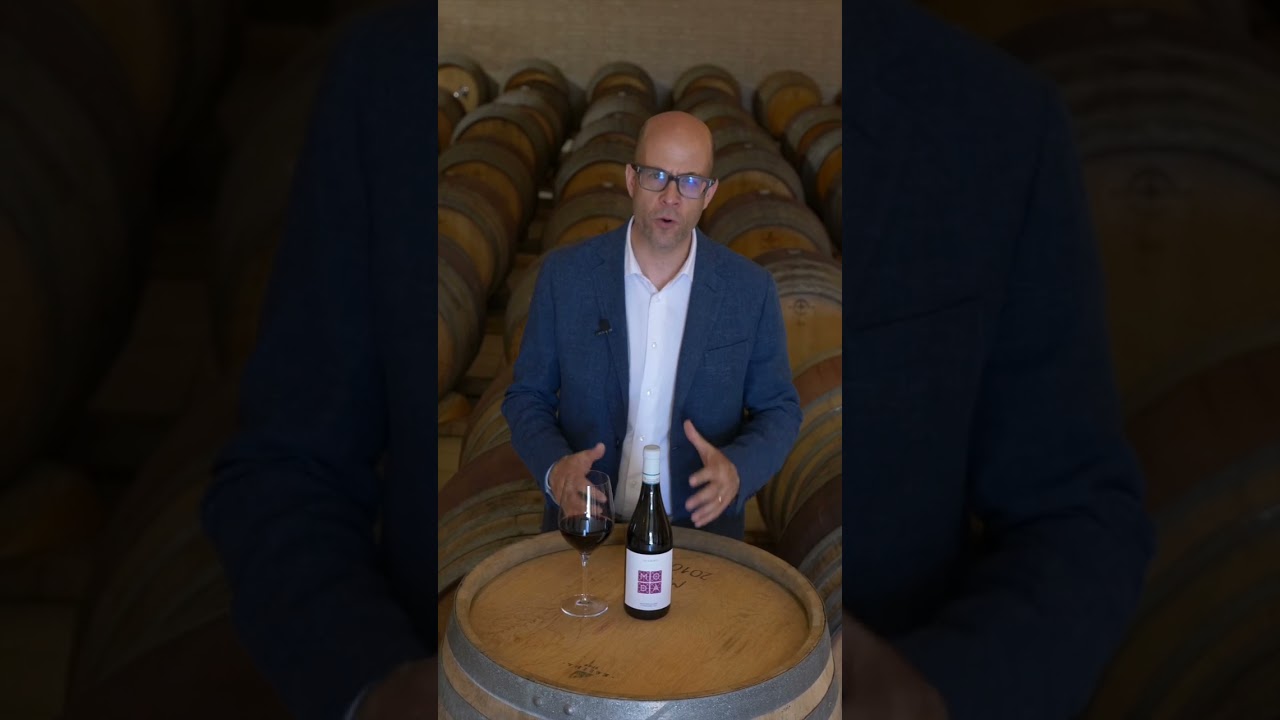 Talamonti MOD&Agrave; - Montepulciano d'Abruzzo DOC