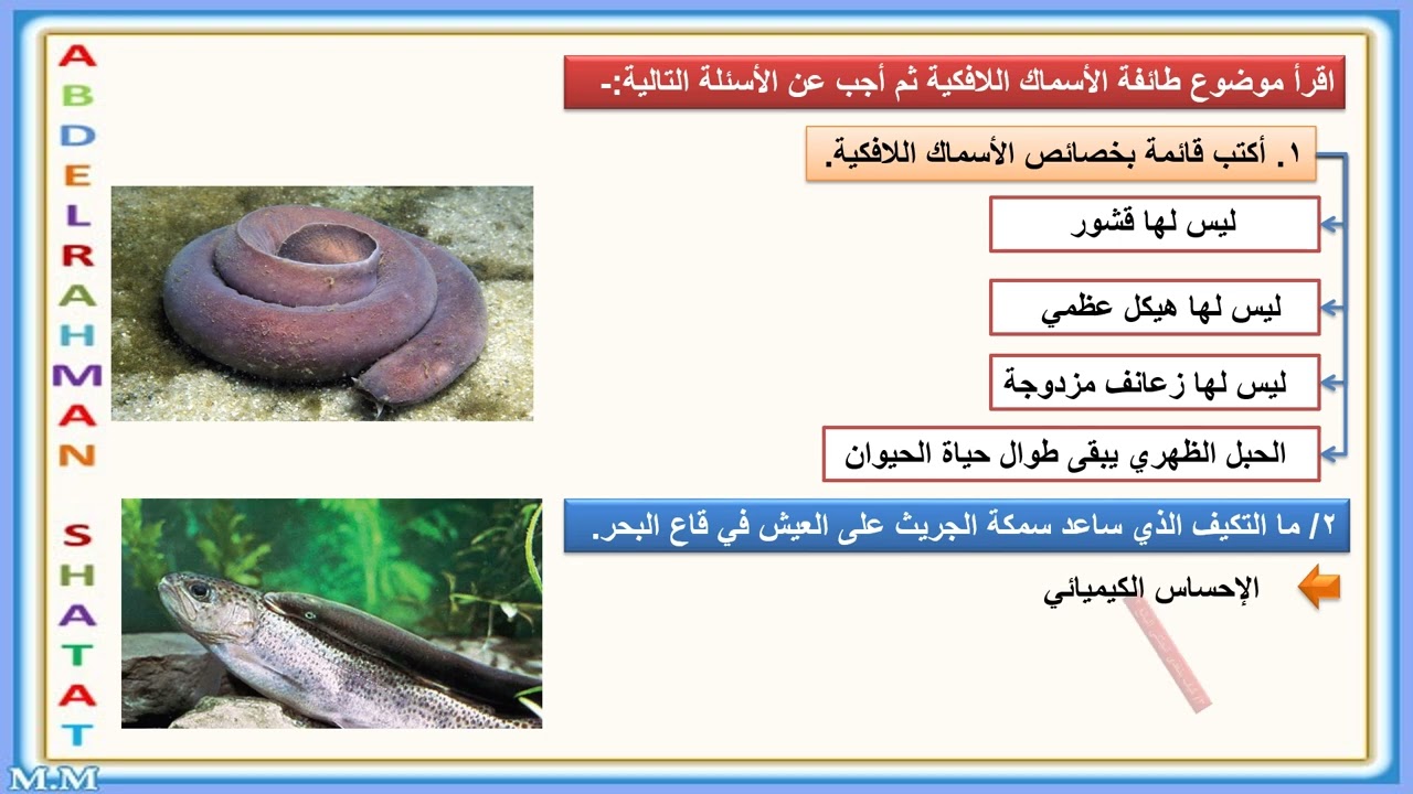 طوائف الأسماك
