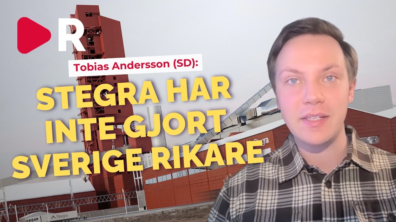 Tobias Andersson (SD) om Stegra-haveriet: 
