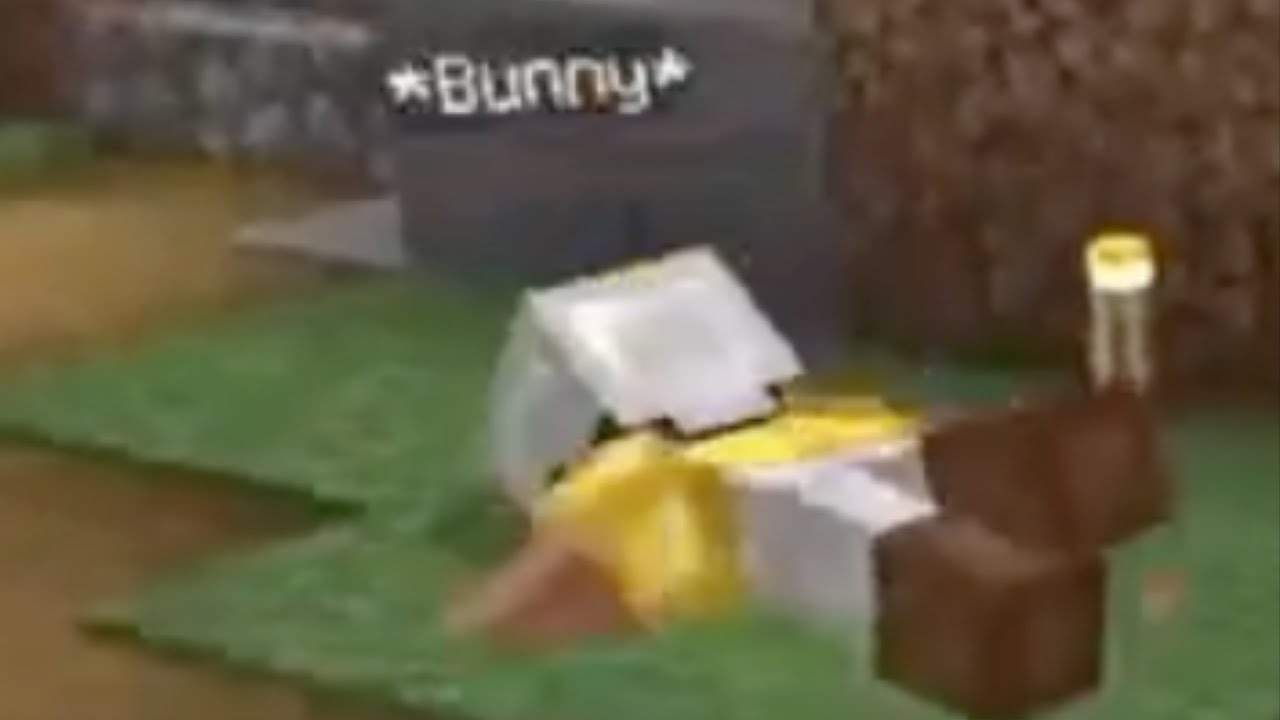Swimming ON LAND in Minecraft! (from lag)