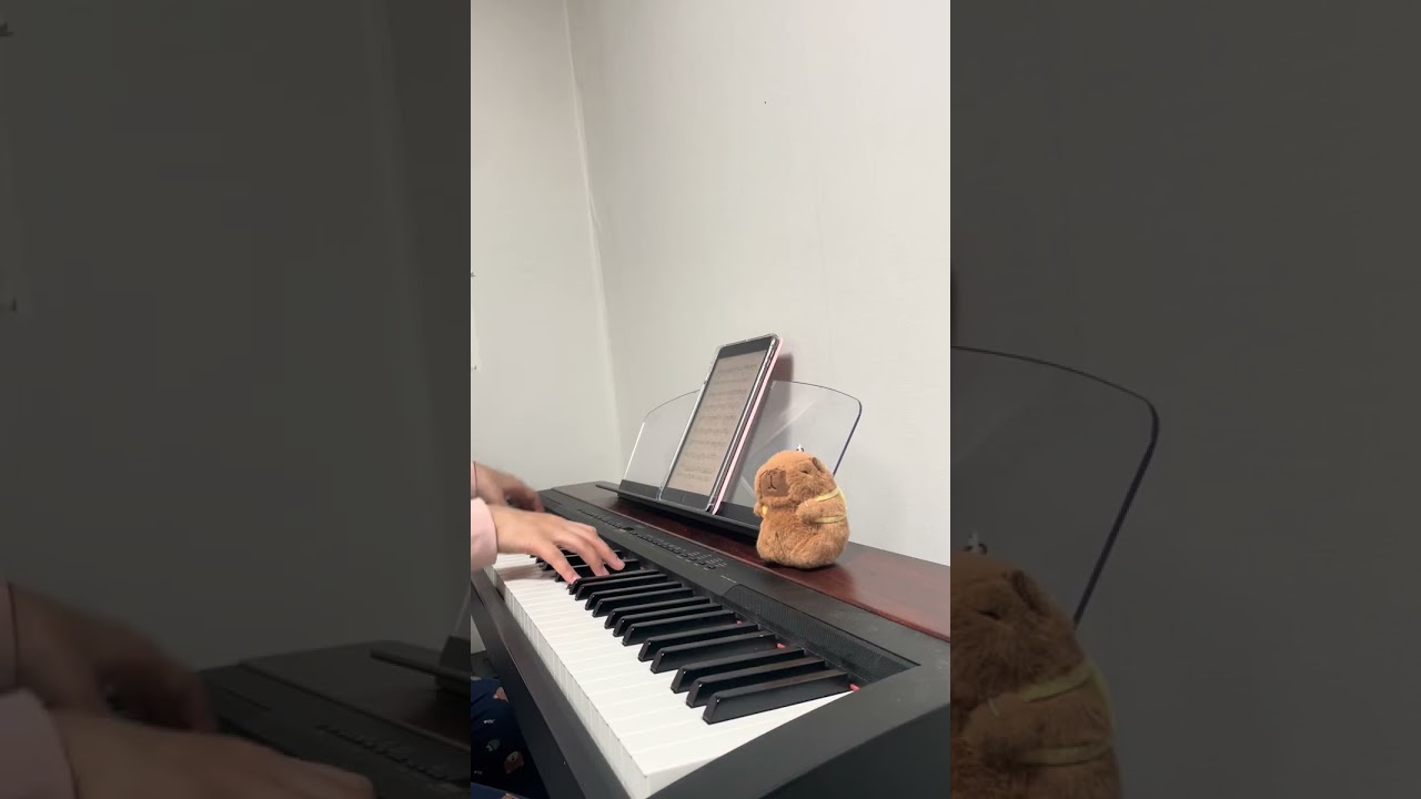 선물 ( Daily Challange : 48 Day)