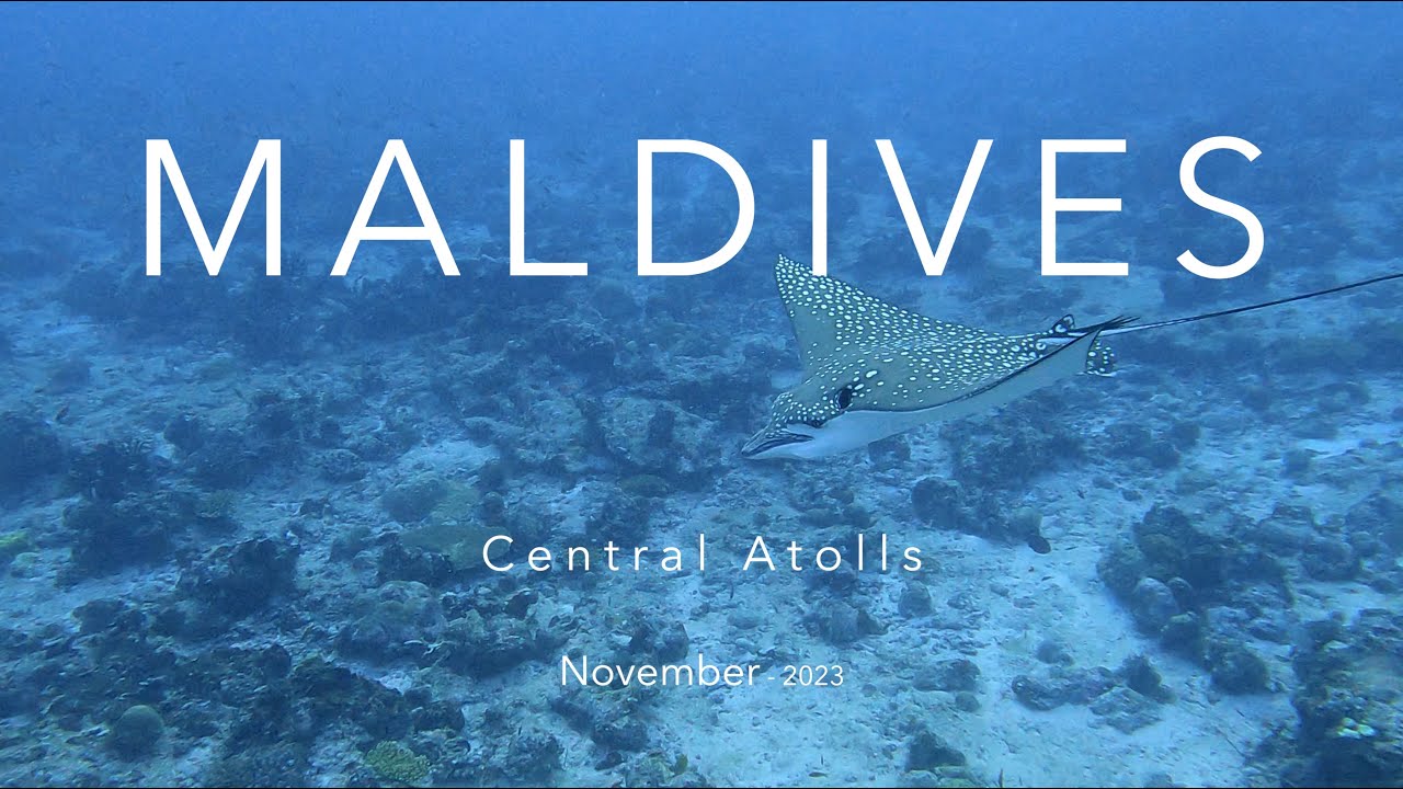 Diving the Maldives: Central Atolls [4K]
