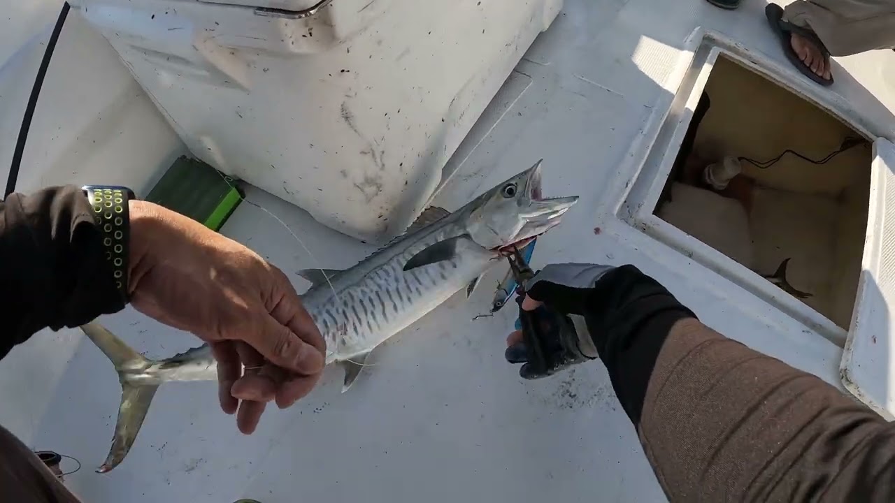 Field Test ng ating King Fisher Lure, King Mackerel Hunting - Kingfisher Fishing Adventure