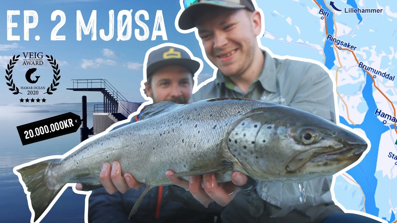 VEIG EP2: Hamar Ocean