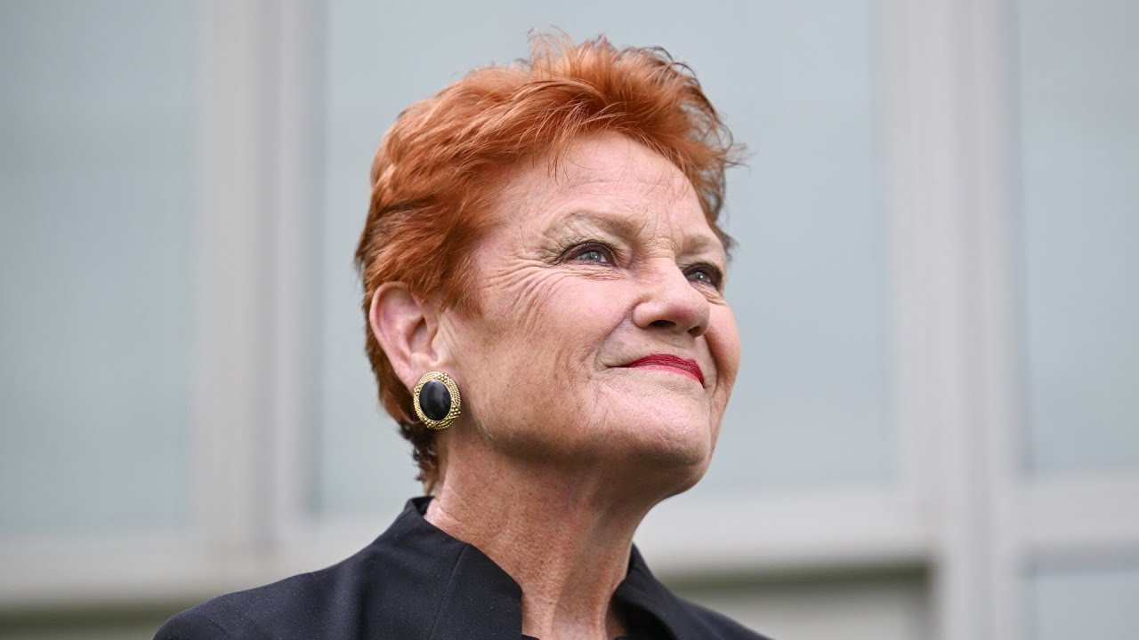 ‘Powerful forces being unleashed’: Crisis of ‘uncertainty’ driving One Nation vote