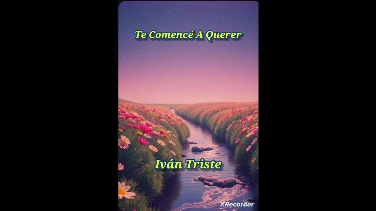 Te comencé a querer 